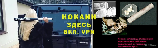 эйфоретик Михайловск