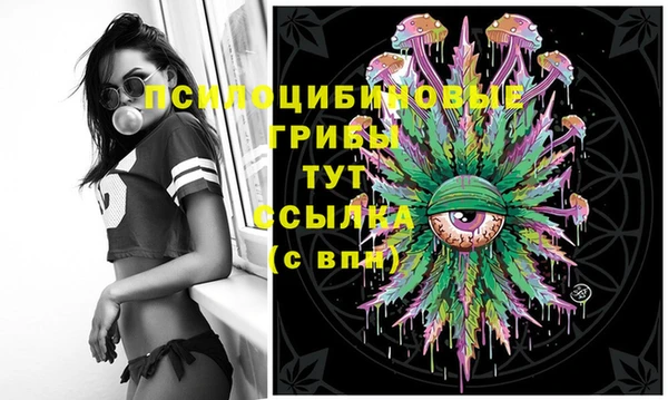 спиды Михайловка