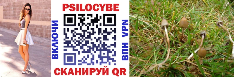 Псилоцибиновые грибы Psilocybe  KRAKEN ССЫЛКА  Гуково 