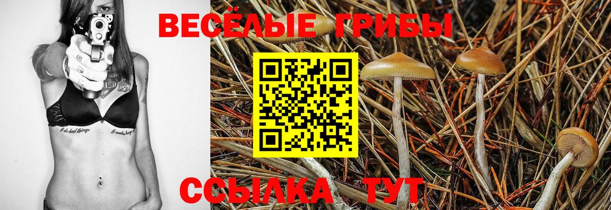 Гуково  цены   Вход с VPN  Галлюциногенные грибы ЛСД 