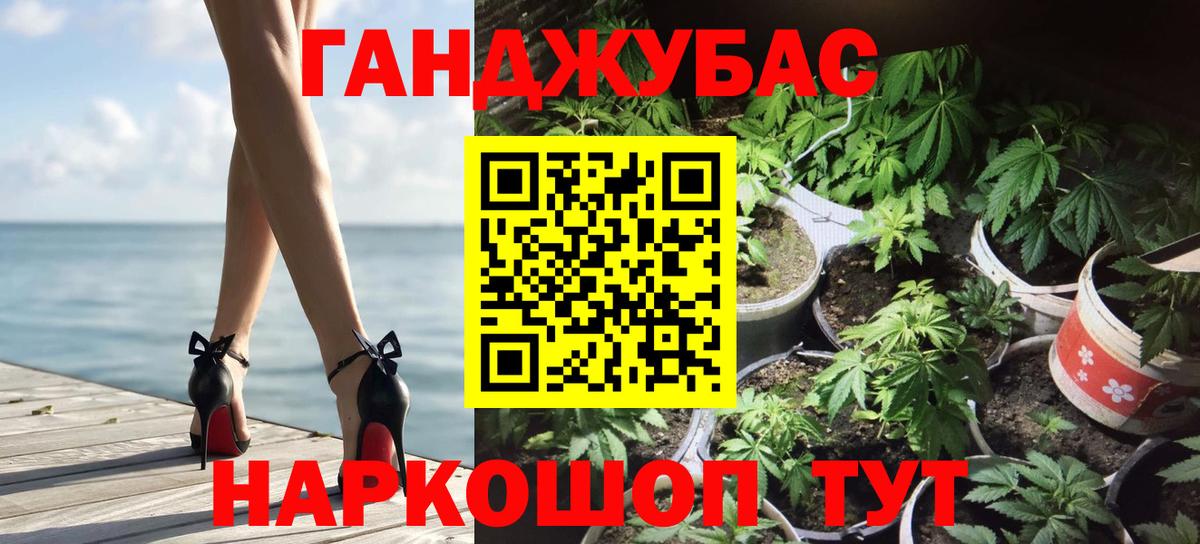 Каннабис сатива Гуково